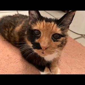 Meet your Posher, Alison